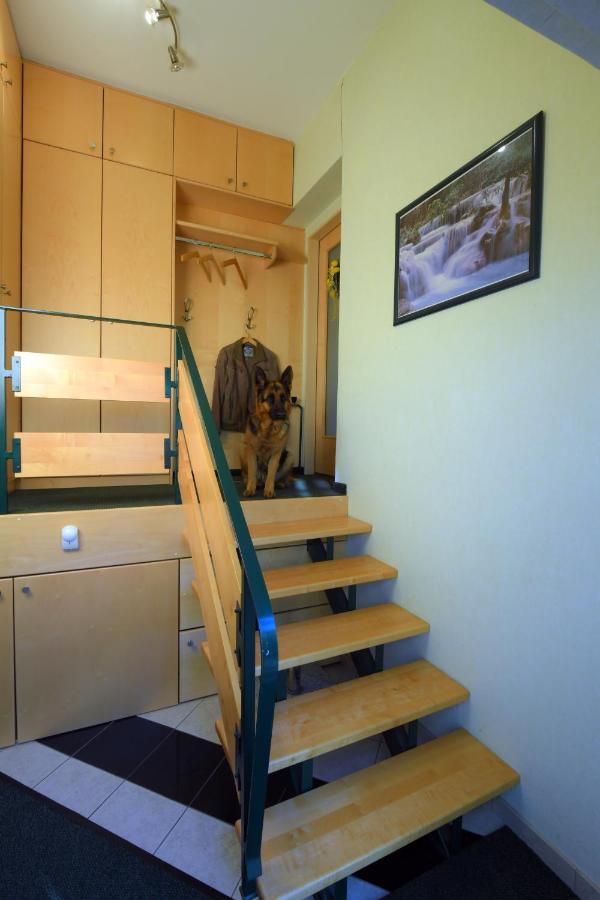 Ferienappartement Regina Schrems  Экстерьер фото